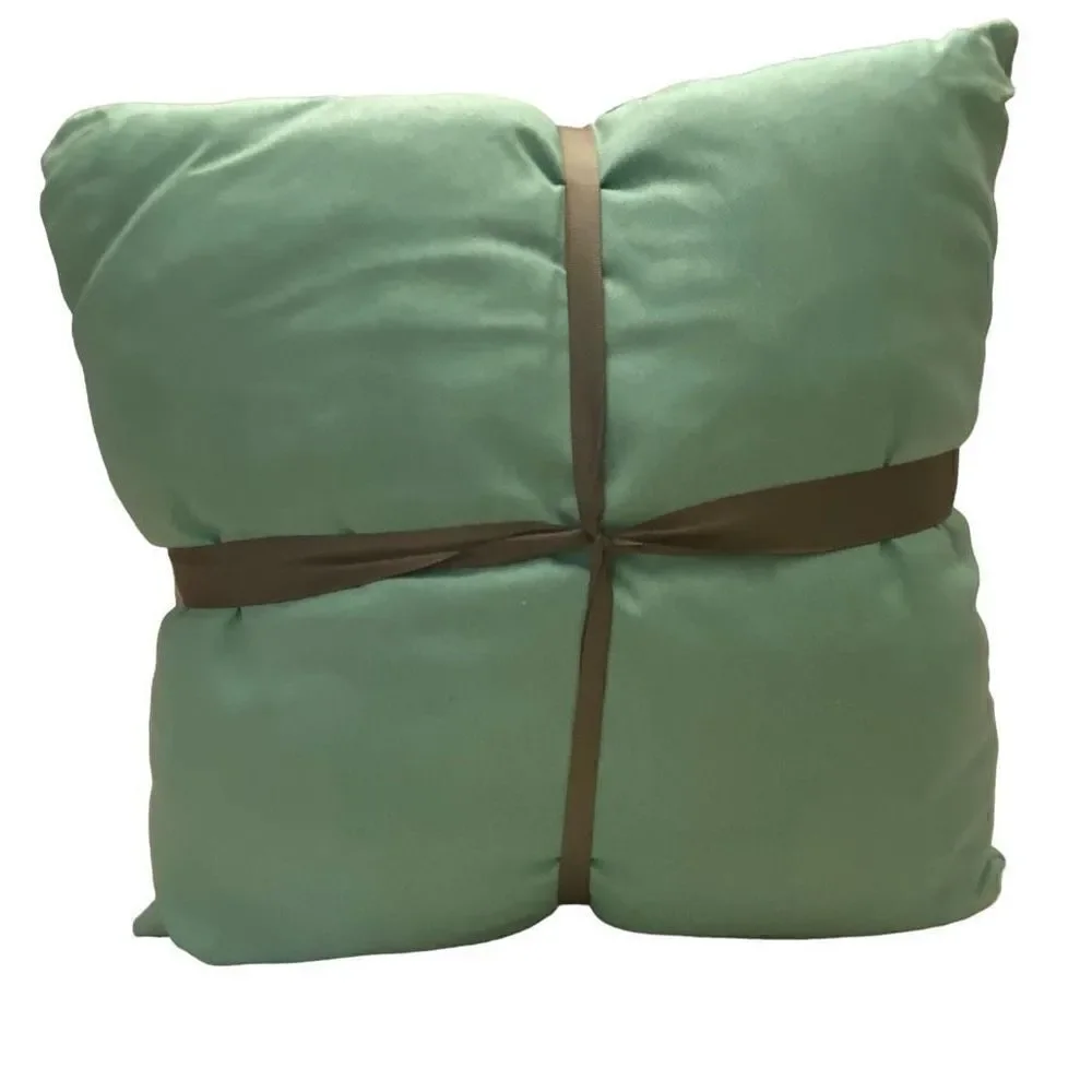 Modern‎ Southern Home Set of Two Decorative Cotton Fall Pillows NWT